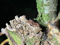 IMG_2874