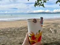 IMG_3156