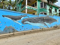 IMG_7194