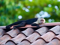 IMG_9407