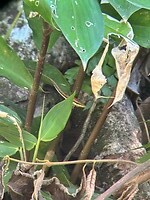IMG_3306