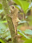 IMG_7258