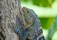 IMG_9455