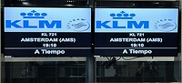 IMG_3325