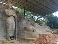 Boeddha's