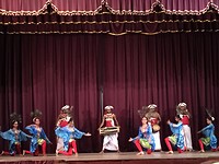 Mayura Vannama / Pauwen dans