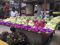 Bloemenverkoop