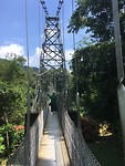 Suspension Bridge