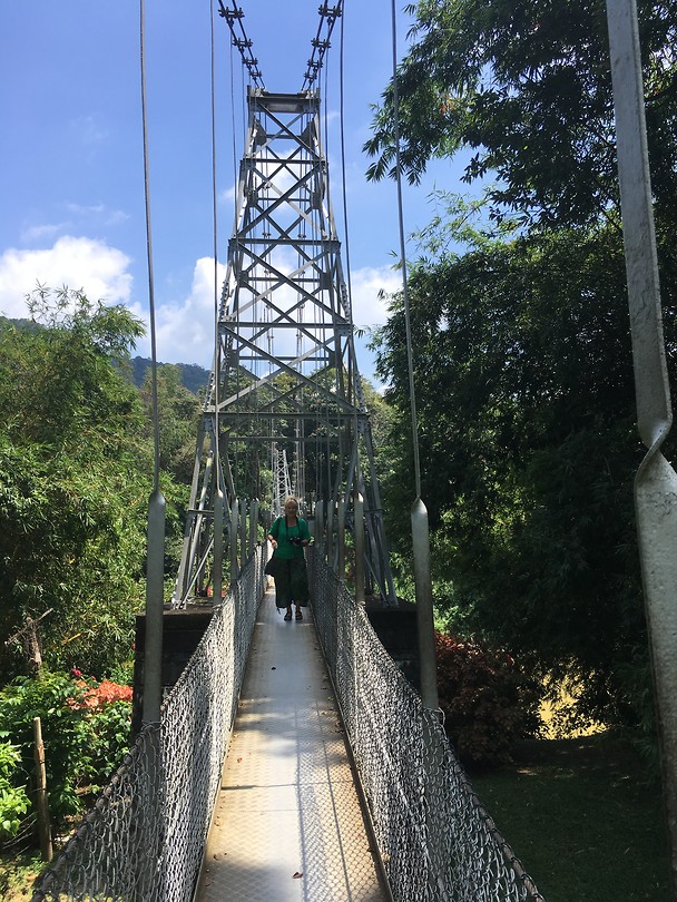 Suspension Bridge