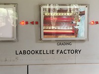 Labookellie fabriek