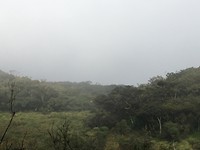 Nationaal park Horton plains