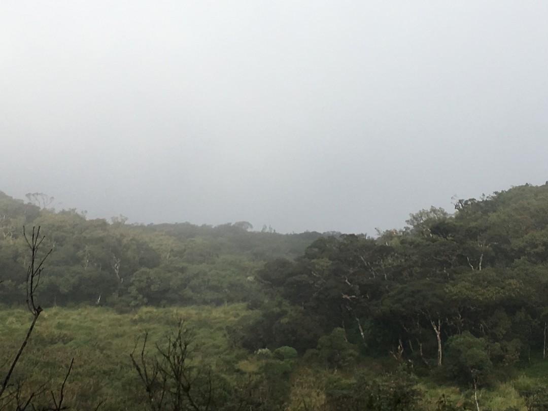 Nationaal park Horton plains