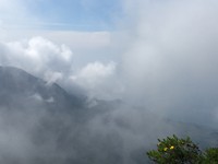 En de mist