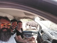 IMG-20191107-WA0006