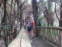IMG-20191108-WA0007