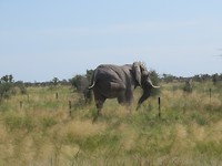 IMG_8176