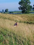 IMG-20210628-WA0006