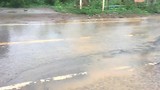 Regen