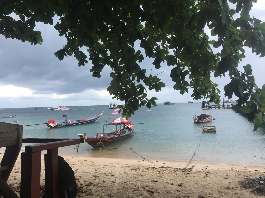 C0E1556F53CB4981A080FE237074EADB Foto Lees mee met LEE