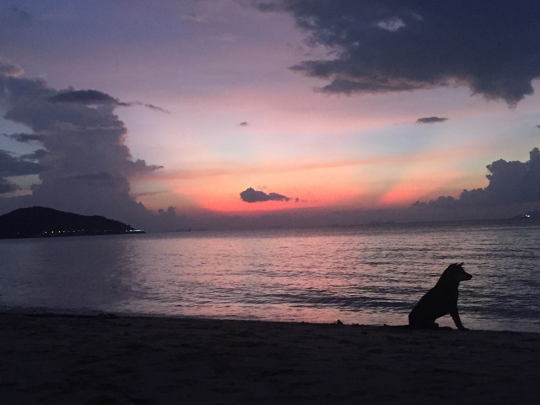 ECF18FC1AC6840C49DEF72D9FC364BE9 Foto Lees mee met LEE