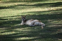DSC_0495
