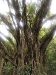 IMG_2760