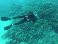 GOPR0707
