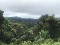 IMG_2795