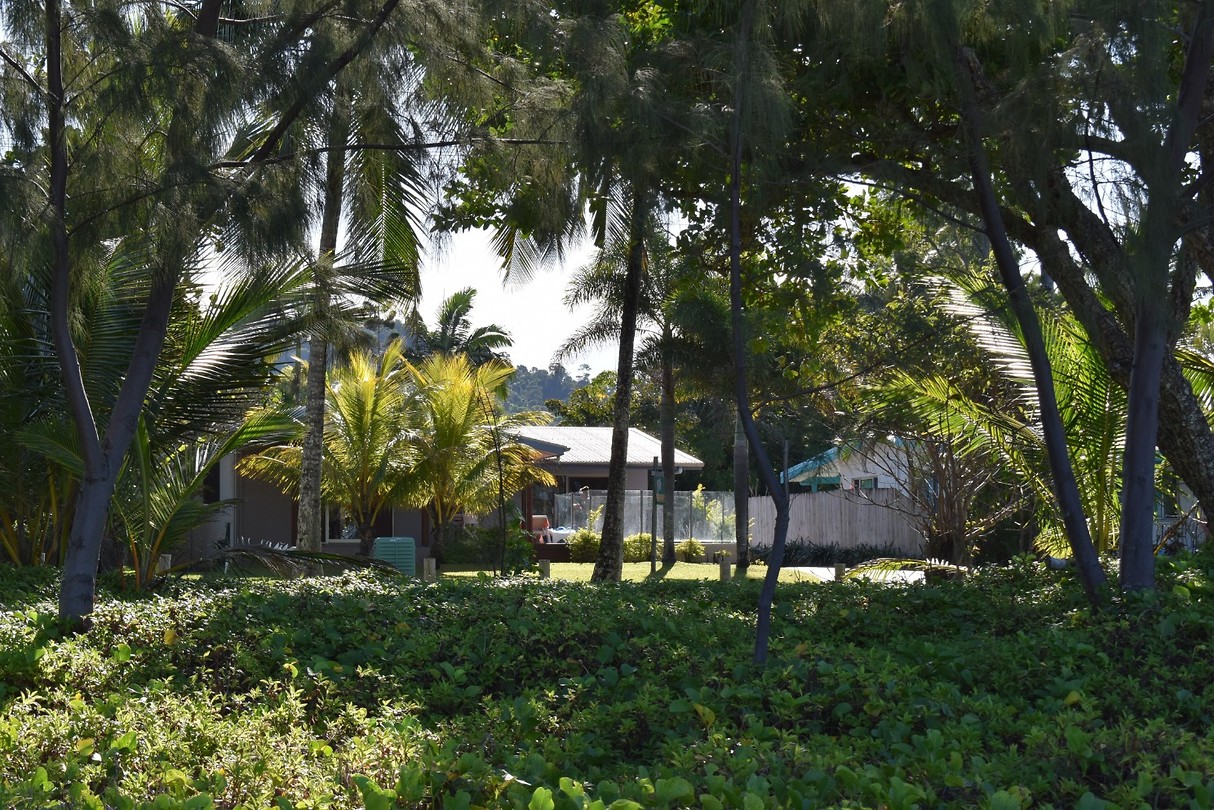 DSC_0300