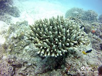 IMG_3735