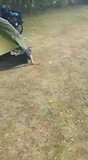 dagelijks ritueel