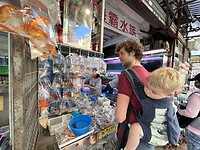 IMG_2750