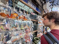 IMG_2756