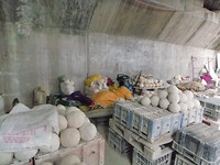 DSC00646