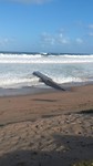 IMG-20170312-WA0008