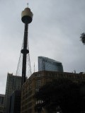 IMG_8920
