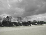 IMG_9305