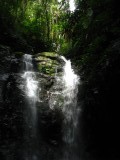 IMG_9500