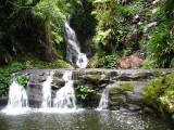 IMG_9502