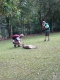 20140909_151603