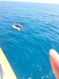 20140911_121342