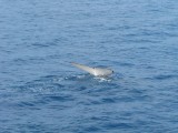 IMG_0015