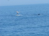IMG_0090