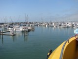 IMG_9871