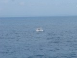 IMG_9950
