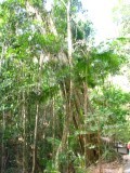 IMG_0365