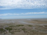 IMG_1434