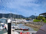 IMG_1455
