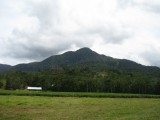 IMG_1517