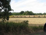 IMG_1654